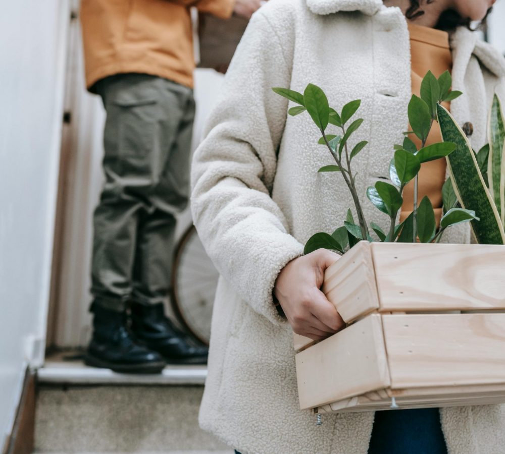 Renters Reform Renters Reform